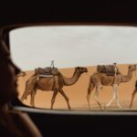 Sahara Tour Marokko – Kamelritt bei Sonnenuntergang