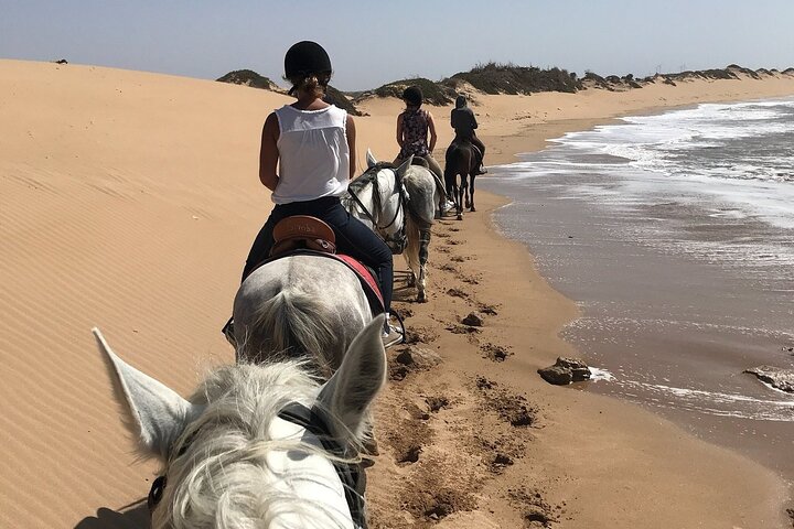 Sonnenuntergang und Kamele in der Steinwüste Agafay Sonnenuntergang und Kamele in der Steinwüste Agafay